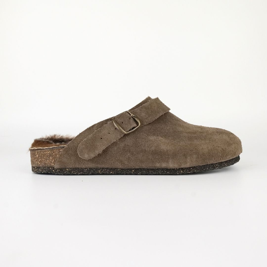 Sabot Loris